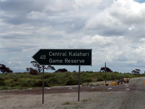 Bild13: Nahe der Kalahari