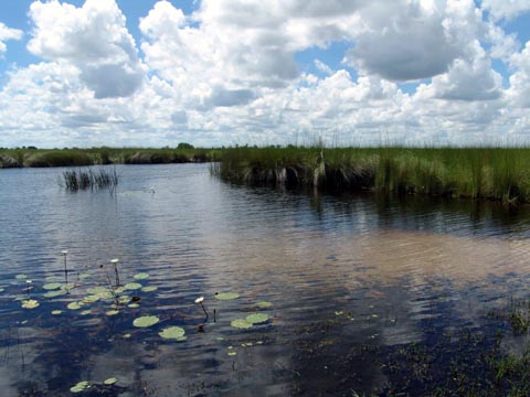 Bild52: Okavango Delta