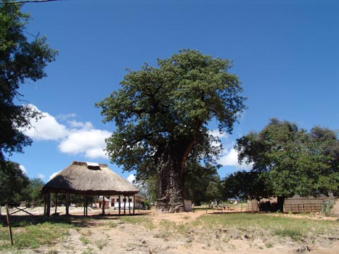Bild100: Kachekabwe Village - wieder Zivilisation