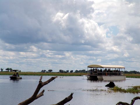 Bild106: Touri-Boote auf dem sehr hohen Chobe