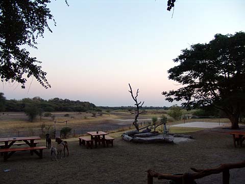 Bild132: Der Okavango River ?