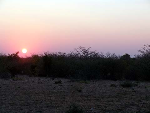 Bild156: Sundowner in Central Kalahari