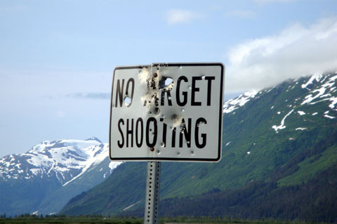 Bild54: NO TARGET SHOOTING