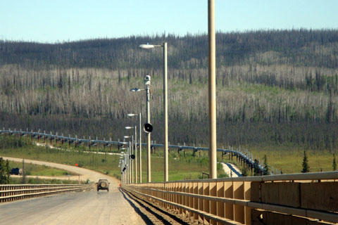 Bild28: Yukon Bridge und Pipeline