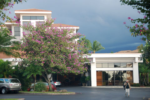 Bild13: Maui Coast Hotel in Kihei
